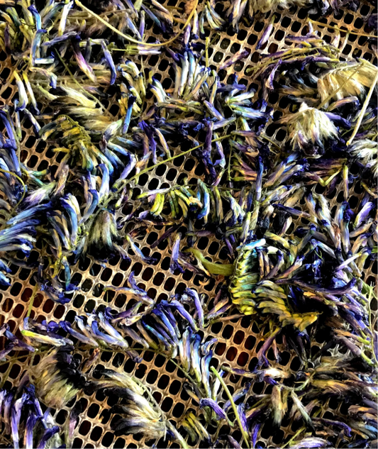 Purple Vetch Dried Edible Flowers