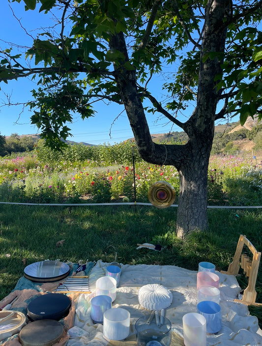 Sound Bath in the Orchard