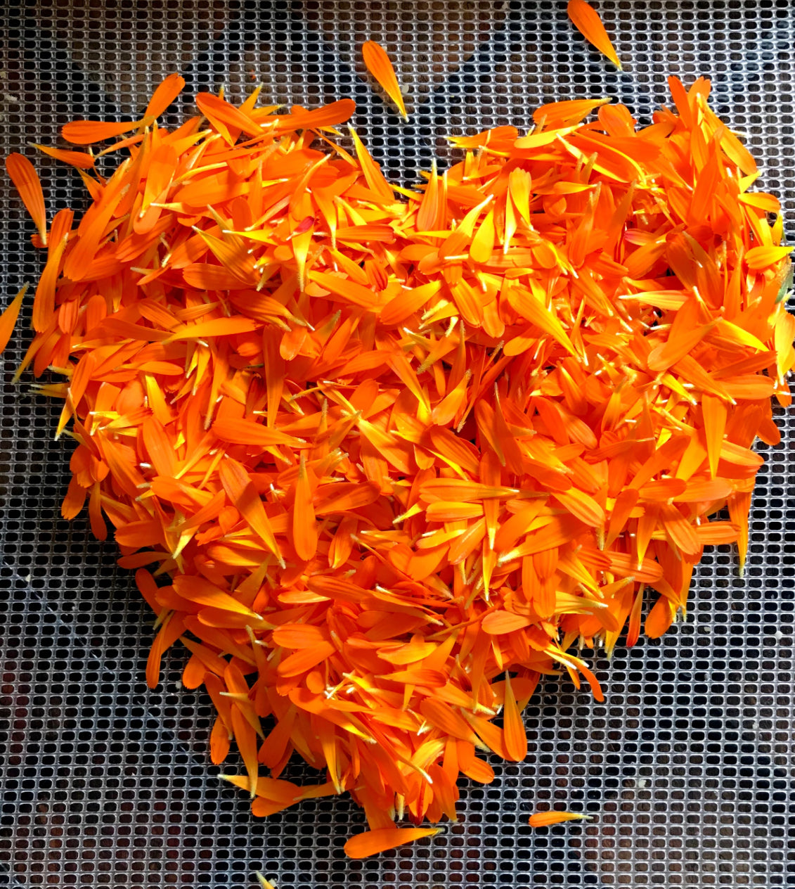 Edible Flowers: Calendula Petals