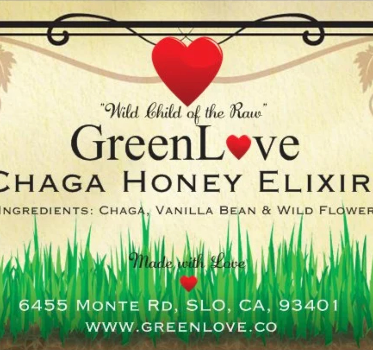 Chaga Honey Elixir