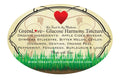 Glucose Harmony Herbal Tincture ACV