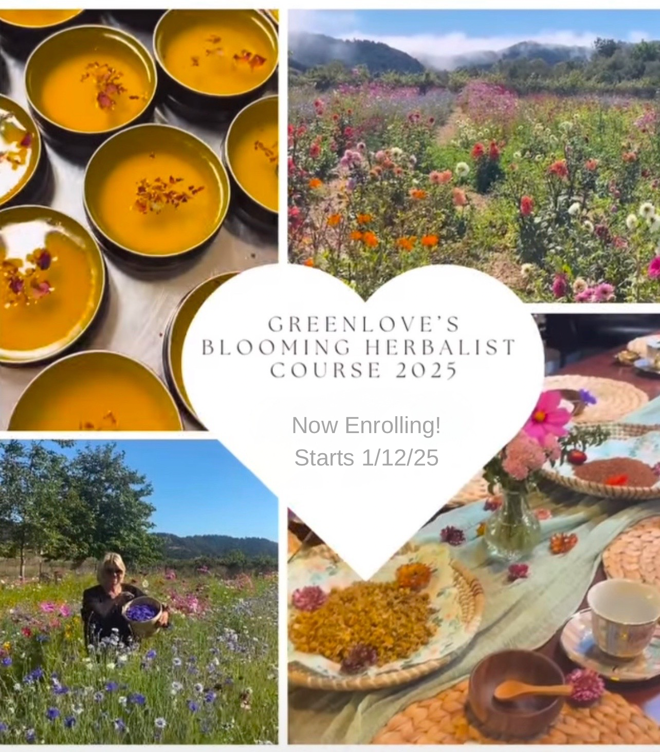 New Blooming Herbalist 1 Year Course 2025