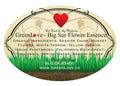 Big Sur Flower Essence