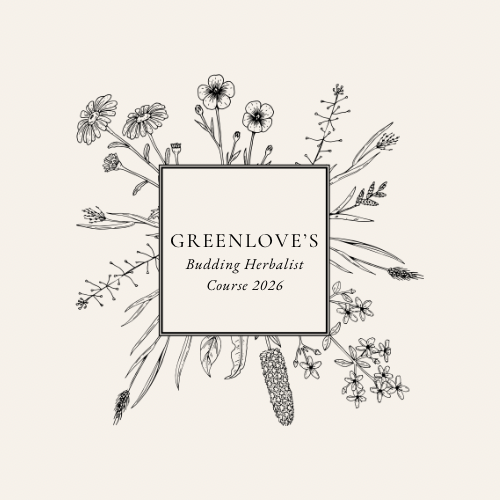 Budding Herbalist Course 2026